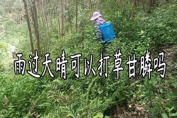 红薯地盖黑薄膜需要打乙草胺吗？