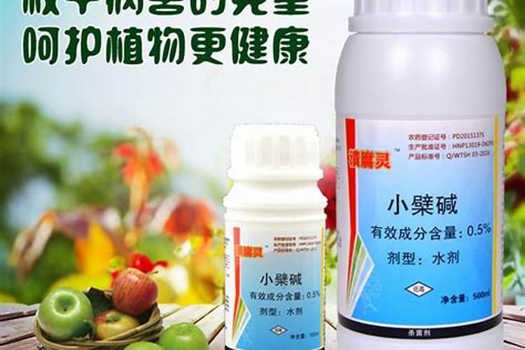 露天大樱桃多高温度适合喷施硼