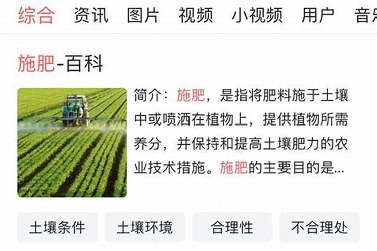 龟背竹能吸甲醛吗