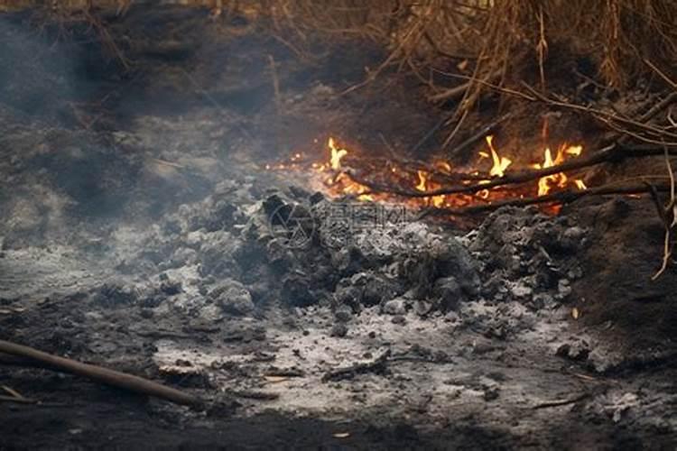 为什么草木灰是一种好钾肥？