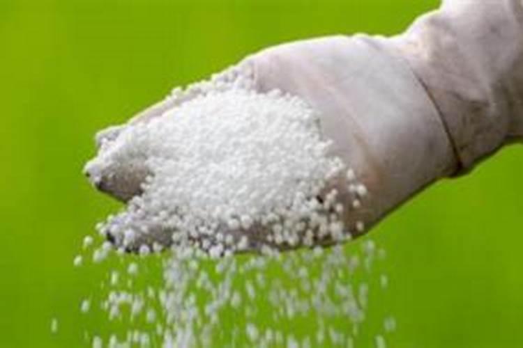 铵态氮是什么肥料