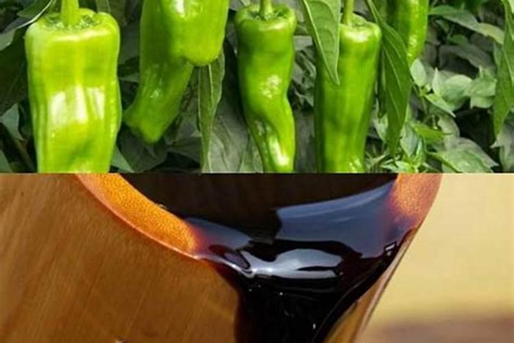 大棚草莓膨果期口感差,不甜怎么办？