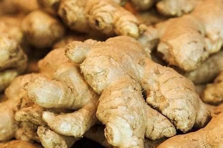生姜用什么肥料最好