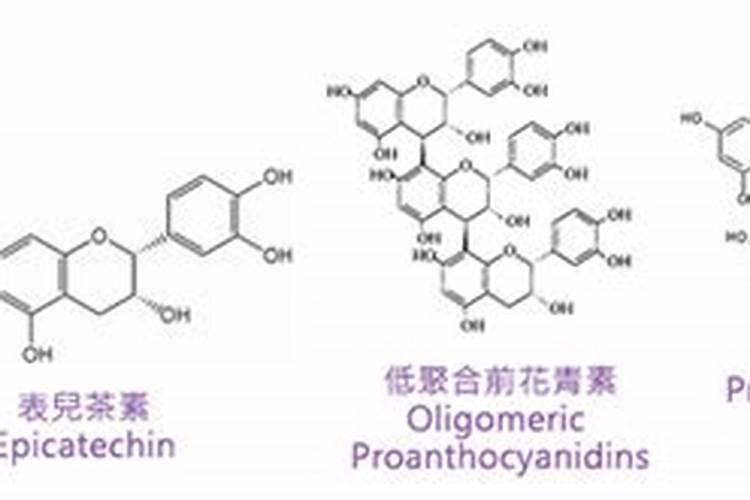 红叶李叶子发白怎么样变红