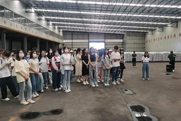 叶子黄了是缺什么肥料