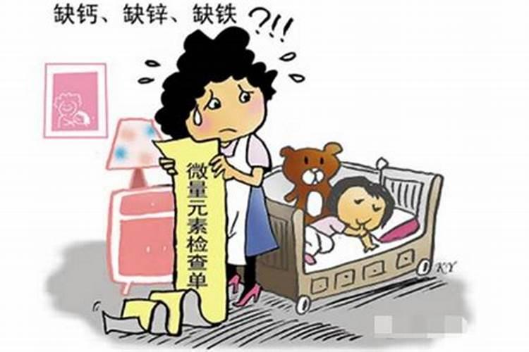 天堂鸟冬天浇水方法,适量浇水保持盆土偏干