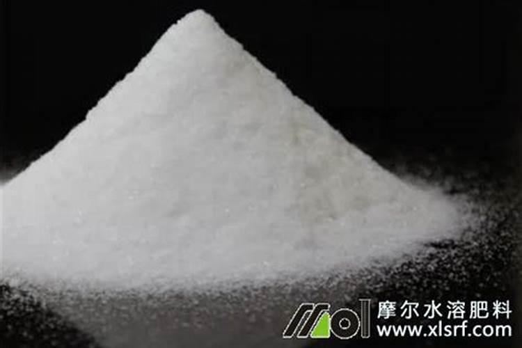 核桃的功效与作用