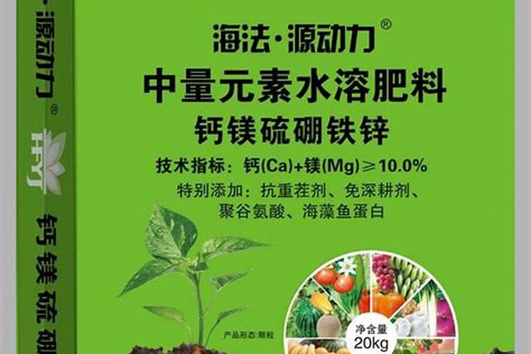 青州大棚9月15日,现在栽什么品种