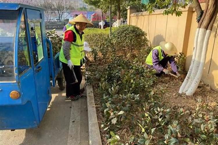 怎样自制浇花肥水 制浇花肥水的方法