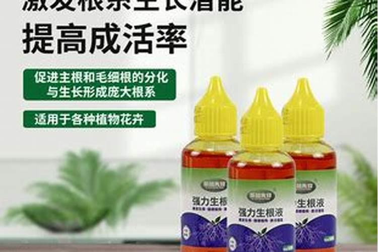 根多多生根水溶肥使用方法