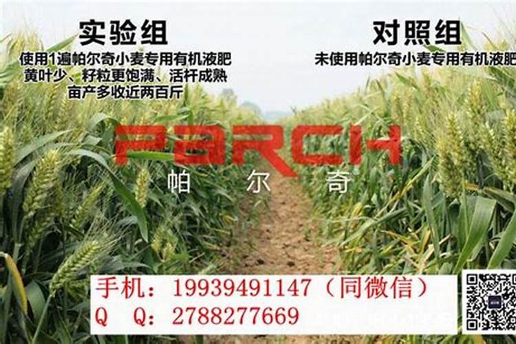小麦叶面肥什么牌子最好