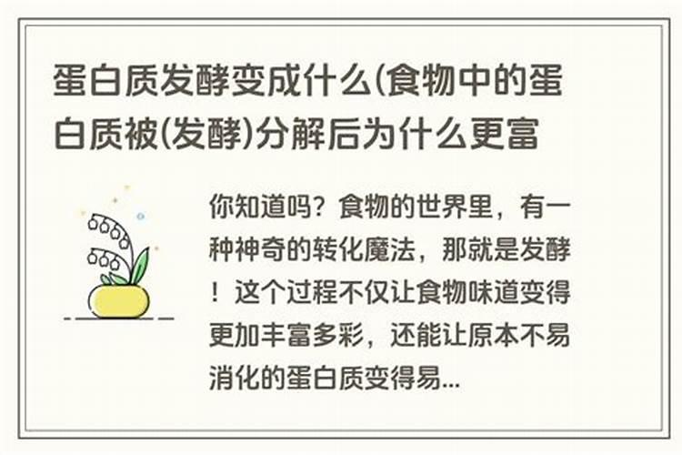 鱼蛋白为什么会发臭？