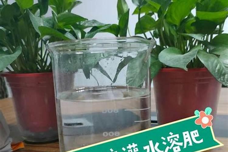 进口水溶肥有哪些