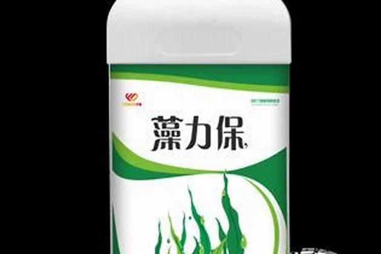 寿光有个威力马水溶肥,看不少种植户都在用,效果到底怎么样？价格这么高...