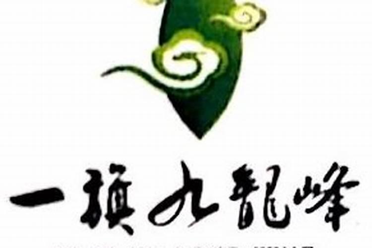 湖南九龙科技农业发展有限公司九龙科技