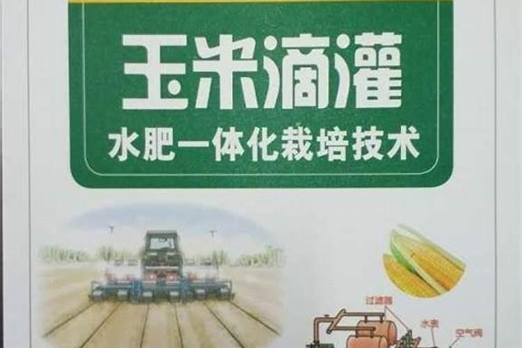 流体硼茶叶什么用最好？