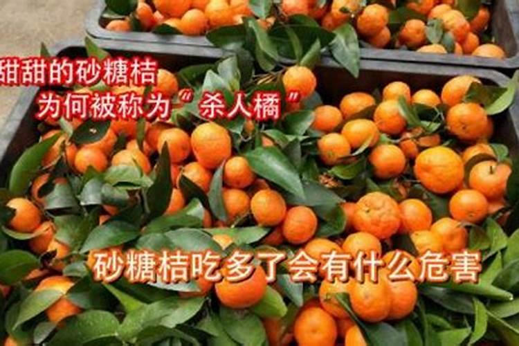 西红柿叶片脆有哪些解决方法？