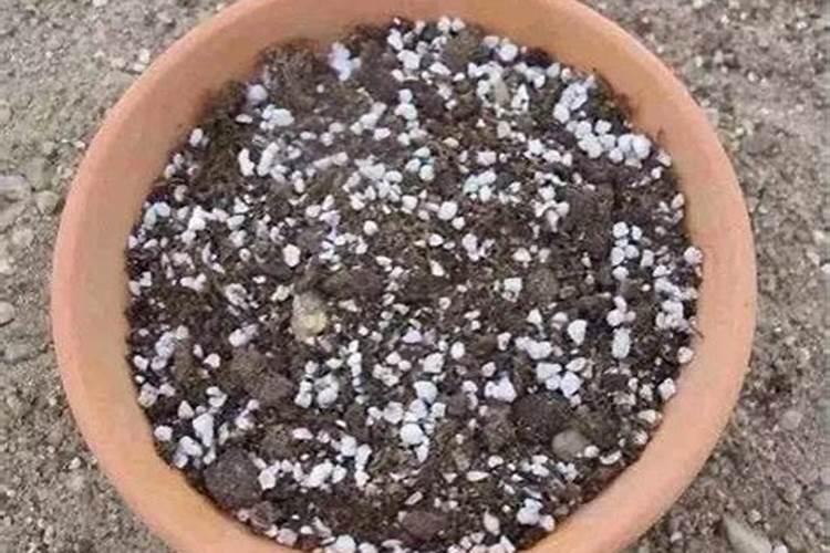 有哪些花能用氮肥