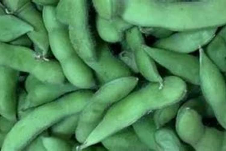 “清明前后,点瓜种豆”说的是什么农务？适合于哪些地区？