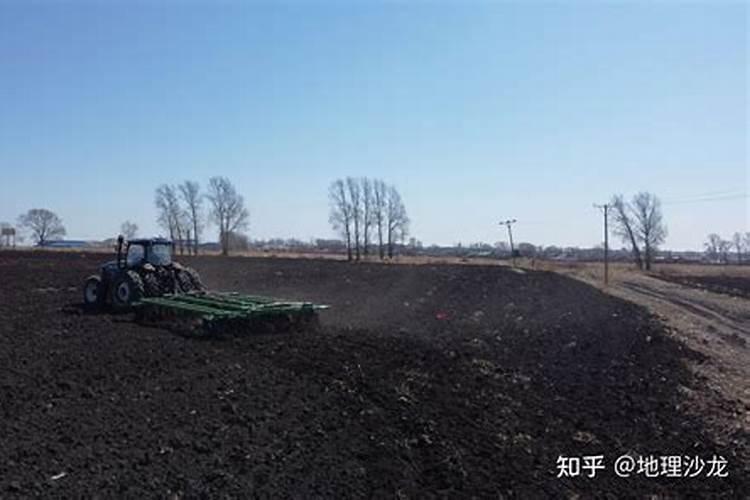 中国哪里的土地最肥沃、