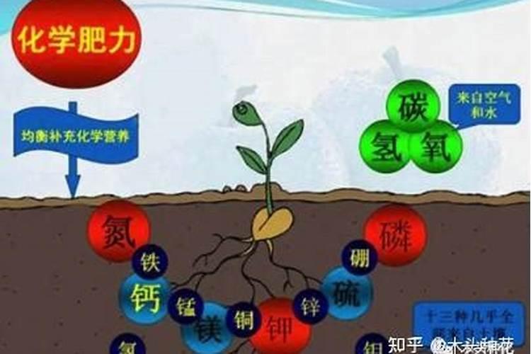 调和油的保质期一般是多长时间 过期的调合油怎么处理