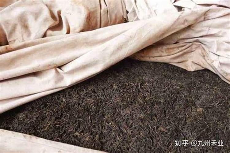 黄瓜补钙用什么叶面钙肥比较好？