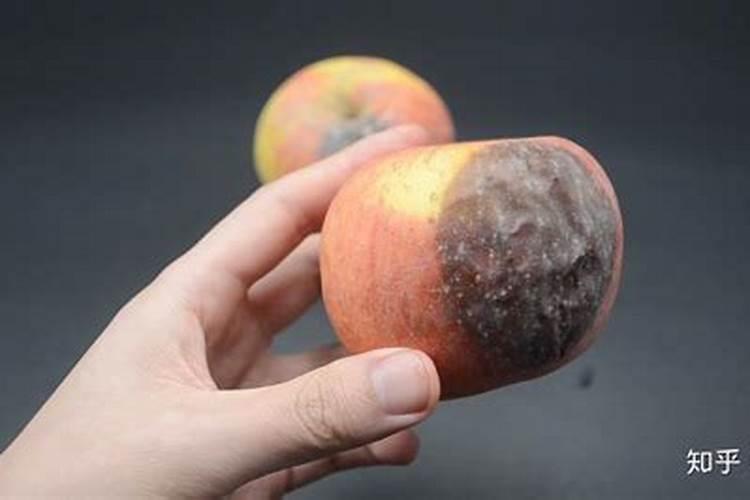 苹果树干腐病和水溶肥有关系吗？