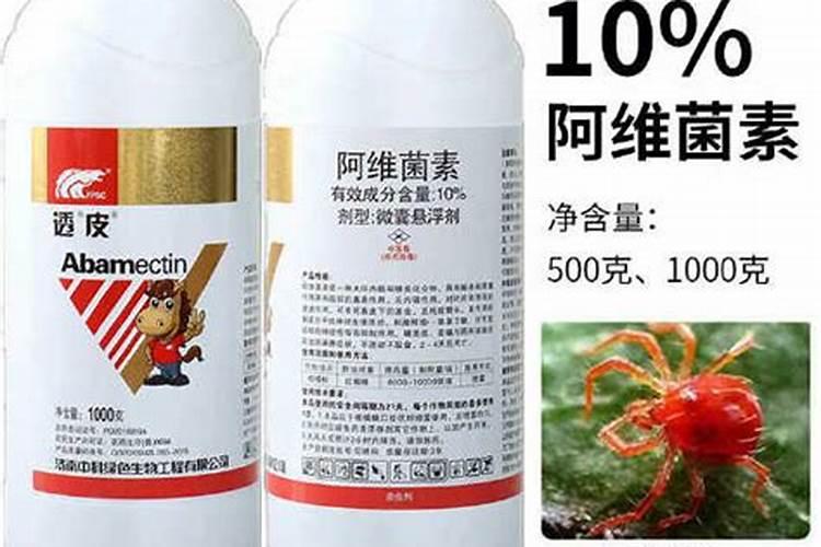 阿维菌素不能和什么药一起用