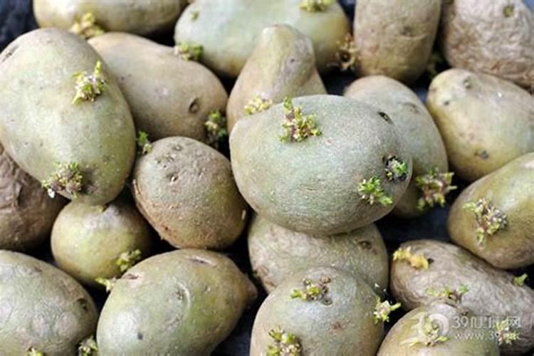土豆每斤用多少氮肥,磷肥,多少钾肥