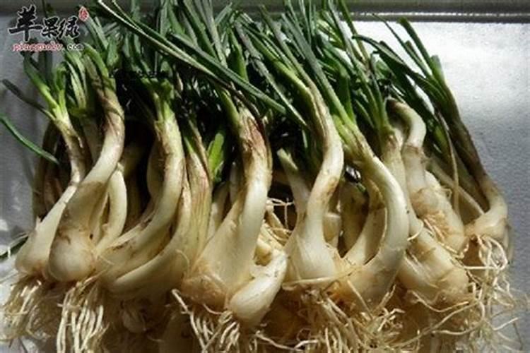 荞头用什么肥料？
