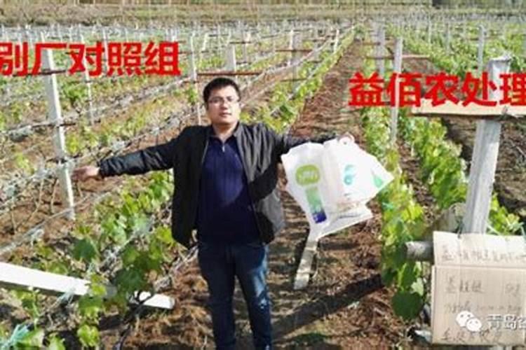 水溶肥为什么吸收比复合肥快