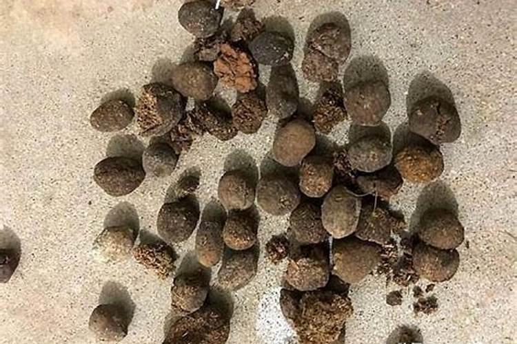 花生施肥时间及方法