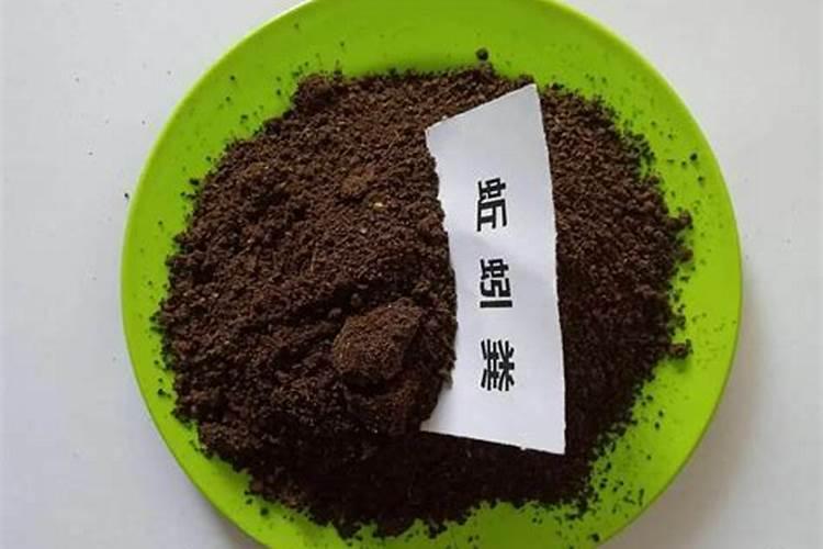 蚯蚓粪育稻苗有点发黄如何解决？
