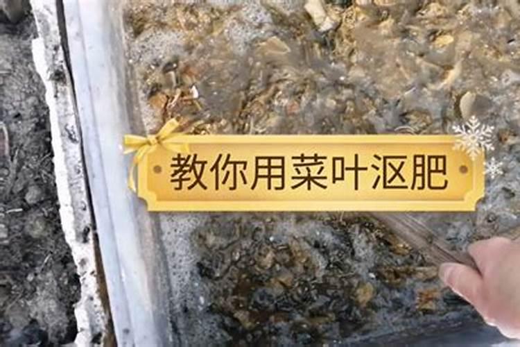 菜叶子水沤肥有什么害处