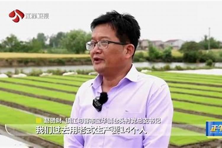 水稻增产及增质方法技巧 水稻应该怎么养殖