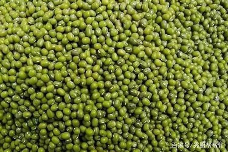 北方什么时间种植黑豆