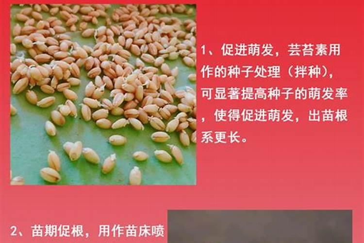 如何分辨化肥种类