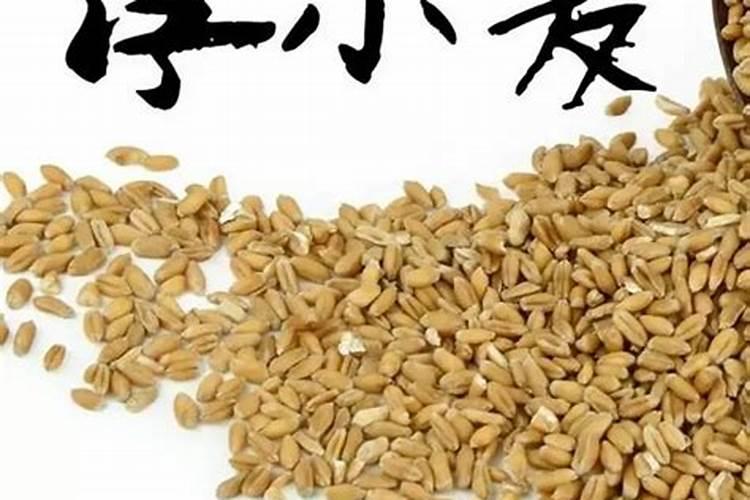 小麦白粉病是什么样的呢？