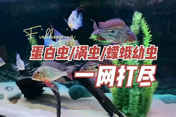 放置六年的鱼食,在正常情况下还能喂鱼吗？