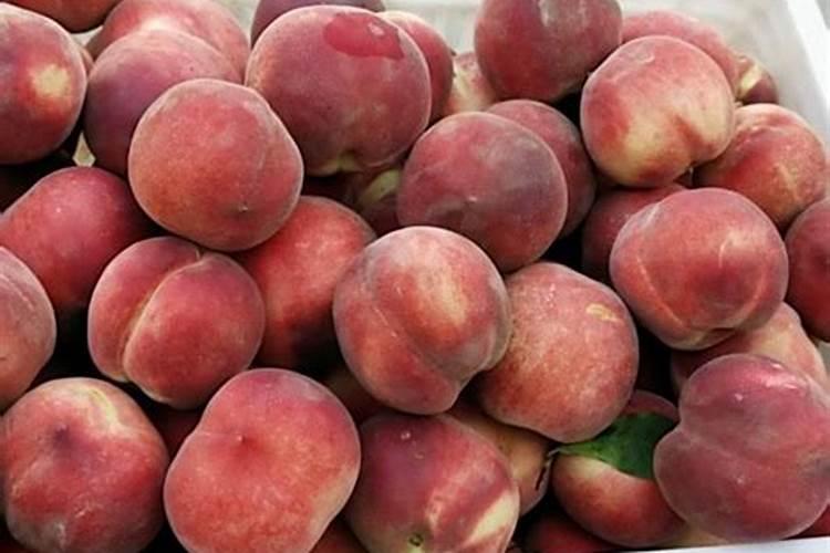 果园农场旅游景点介绍图 果园景区