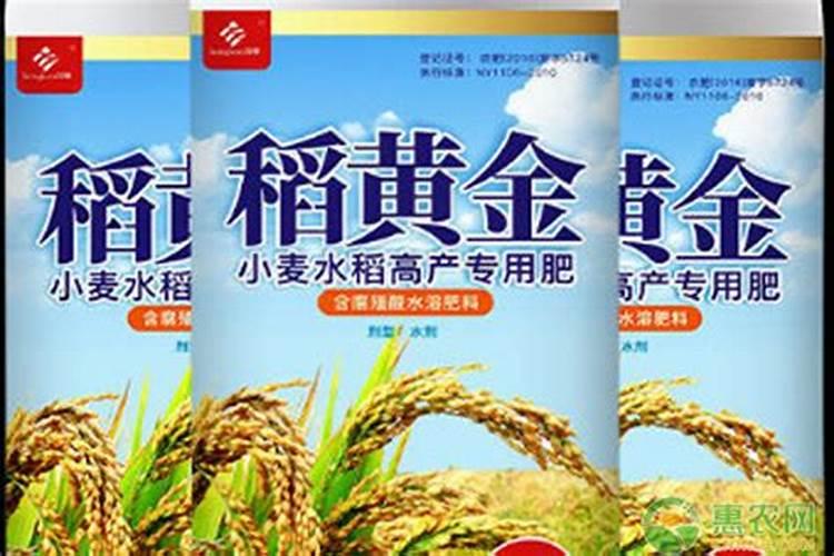 施肥与浇水先后顺序
