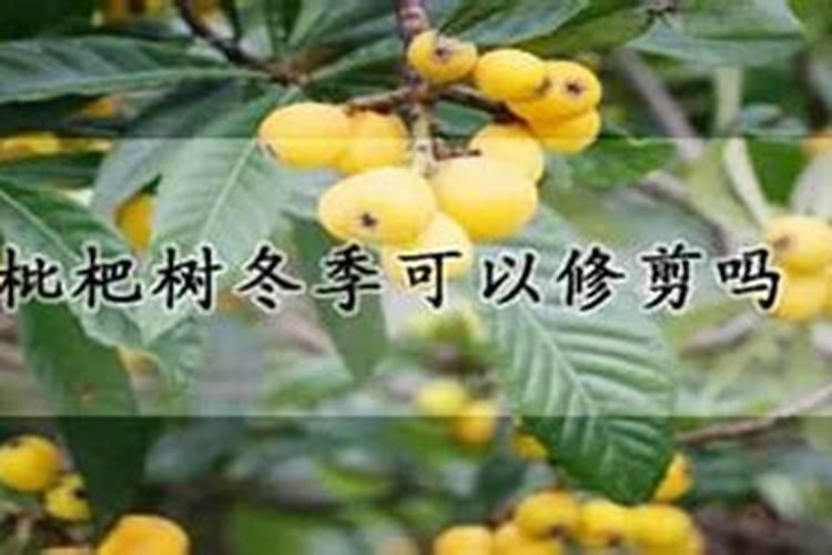 襄阳施得利化肥有限公司怎么样？