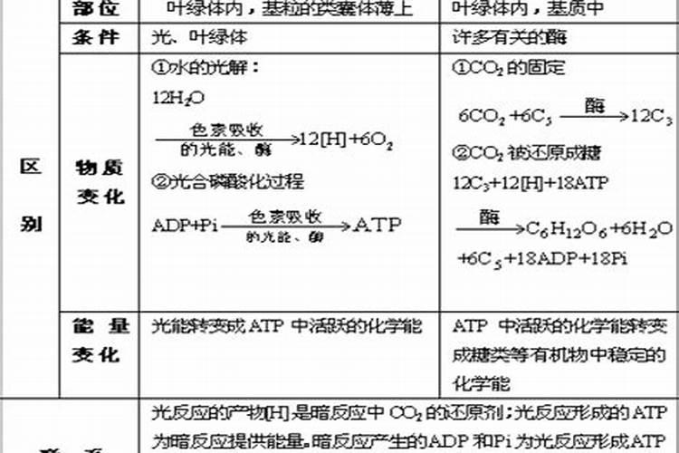 如何划分“大量元素”和“微量元素”？
