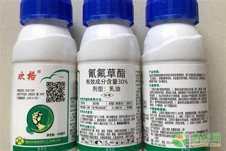 腻虫怎么消灭小窍门