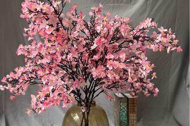 秋天养长寿花,牢记4个“技巧”,就能长满花苞
