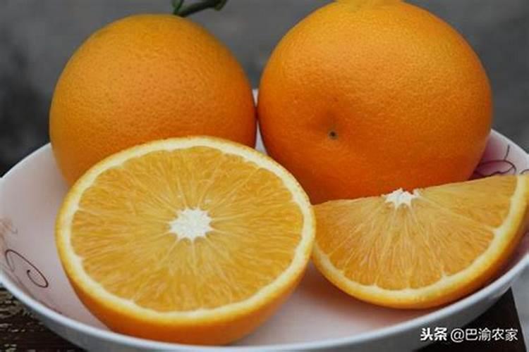 什么植物用来做肥料可以代替氮肥