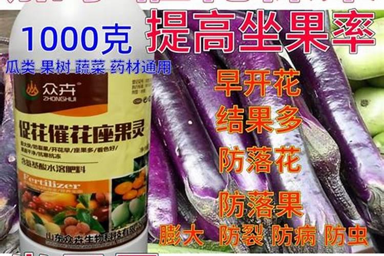 火龙果保花保果的时候,应该用些什么药呢？