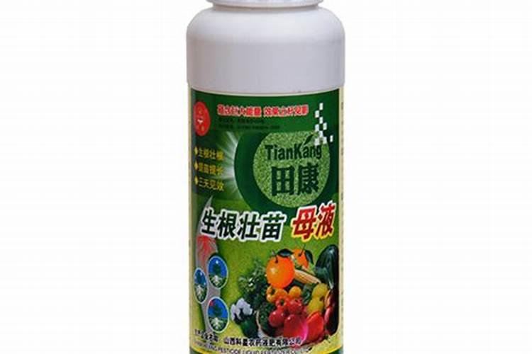 追肥来改善果实的品质,有哪些有机肥料最合适？
