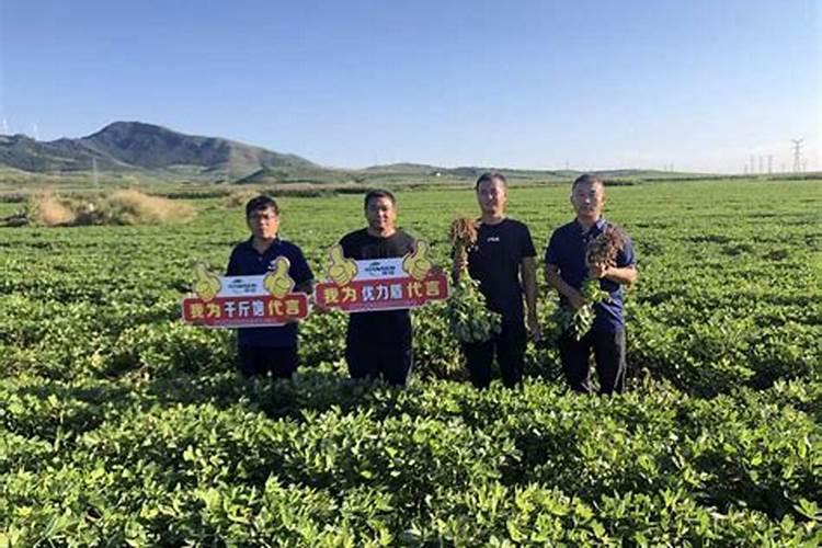 如何科学施用含腐殖酸水溶性肥料？