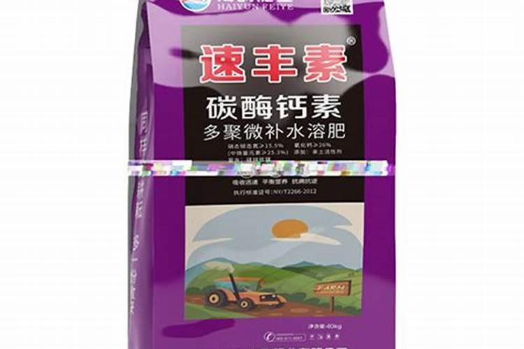 西瓜发酵了还能吃吗 怎么辨别西瓜变质